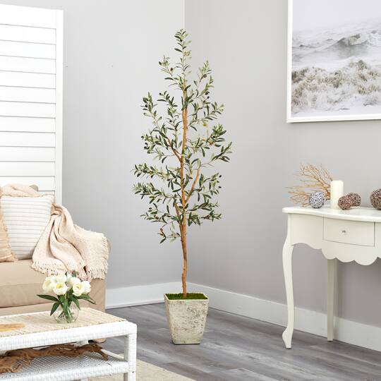 6ft. Olive Artificial Tree in Country White Planter